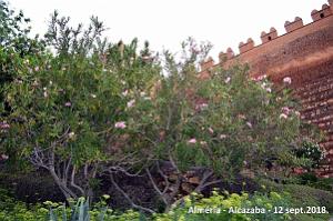 10 ALMERIA ALCAZABA 12 09 2018 (17)